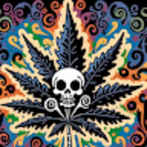 Meet your Posher, Long